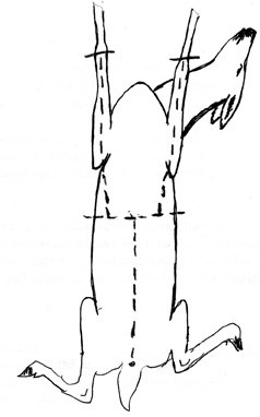 teuvon ohje