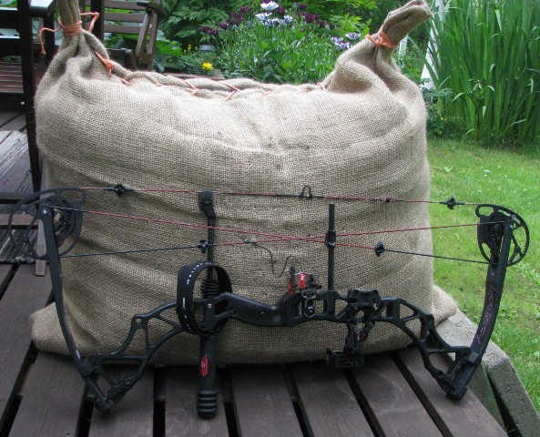 Bowtech Assassin